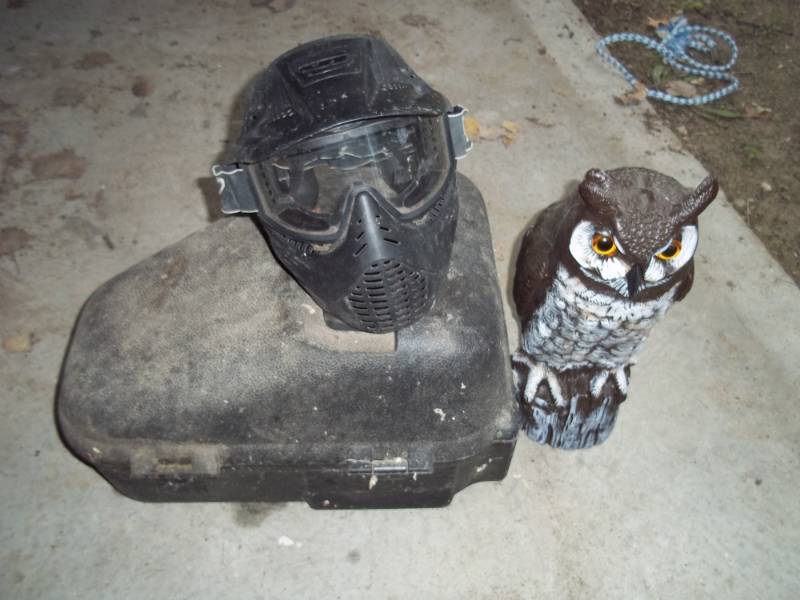 Owl, Paint gun mask and chain saw case