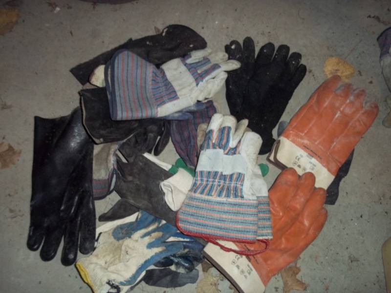 Glove Assortment