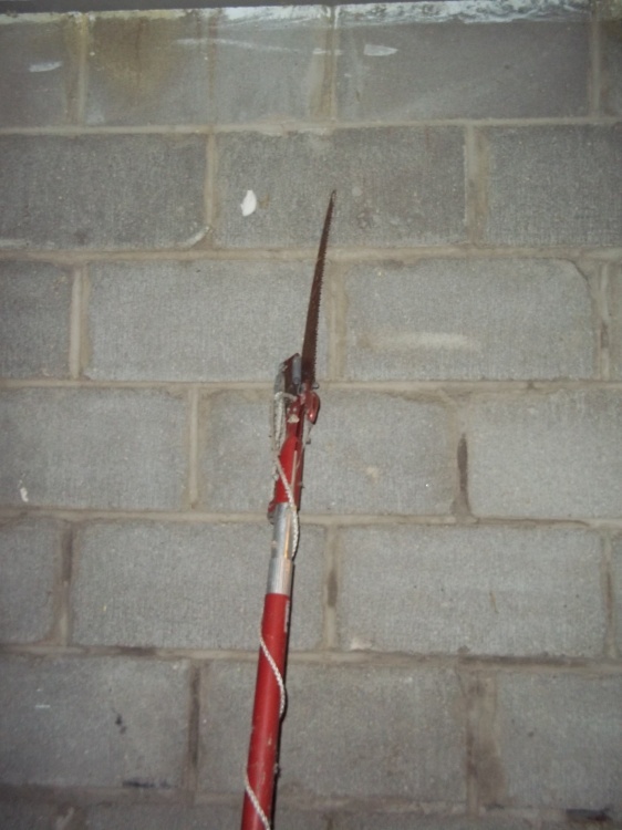 Pole saw