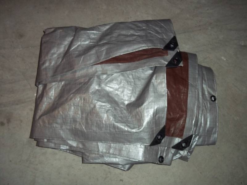 Tarp