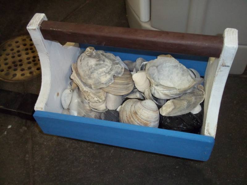 Basket with shells