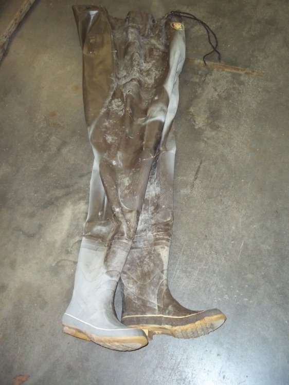 Pair of waders size 11