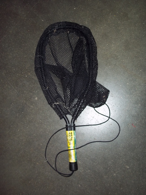 lot 77 image: Live Well Trout Net