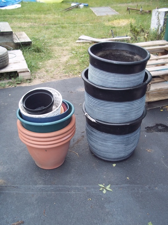lot 173 image: Flower pot assortment
