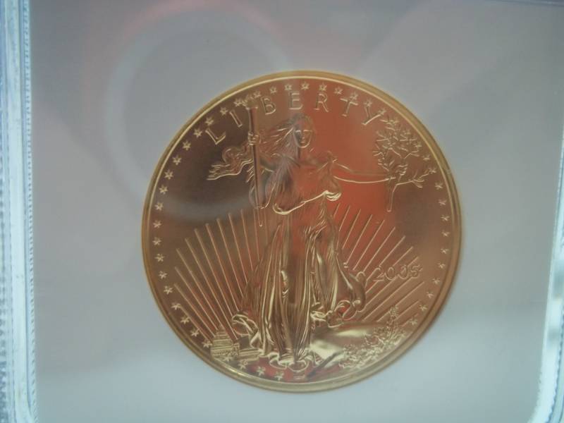 Gold $50 2005 Eagle MS 69 1 oz. Gold