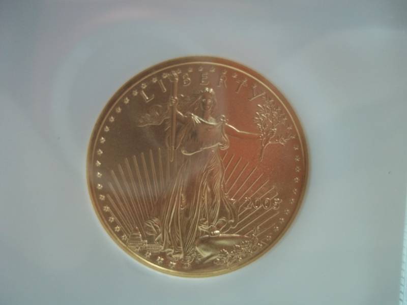 Gold $25 2005 Eagle MS 69 12 oz. Gold