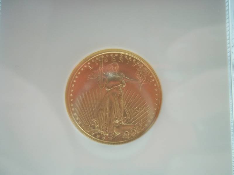 Gold $10 2005 Eagle MS 69 14 oz. Gold
