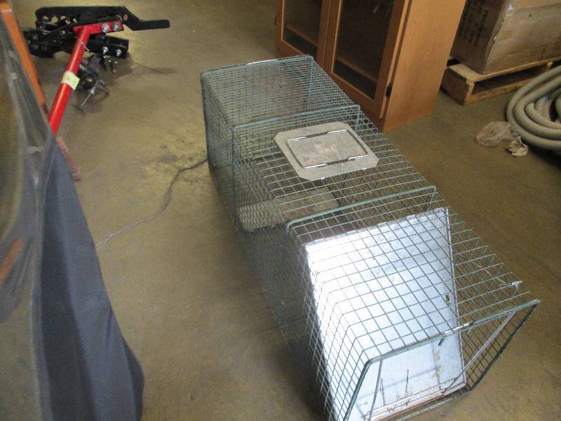 lot 34 image: live trap 42 long x 15 wide x16 ...