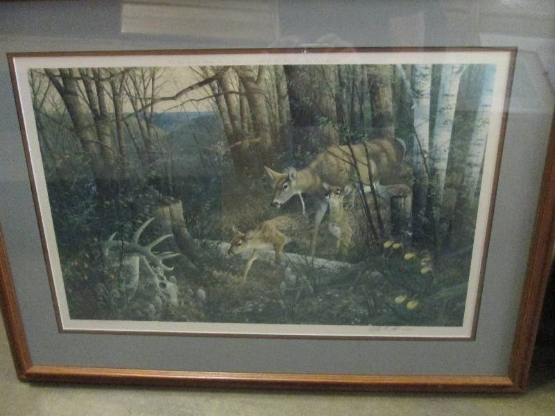 lot 98 image: 1 picture of white tail deer...