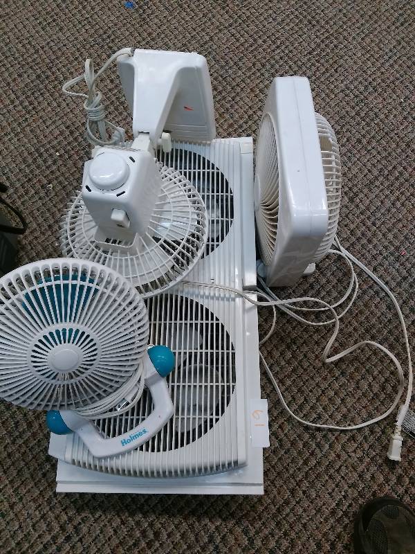 Fan Lot