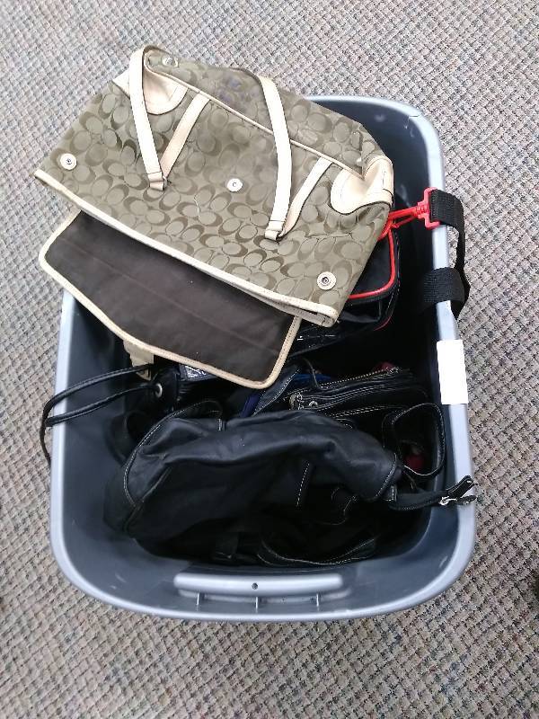 Purse and Bag Lot