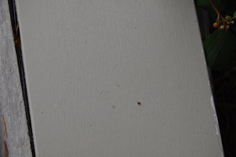 lot 360 image: Fiber Cement Trim