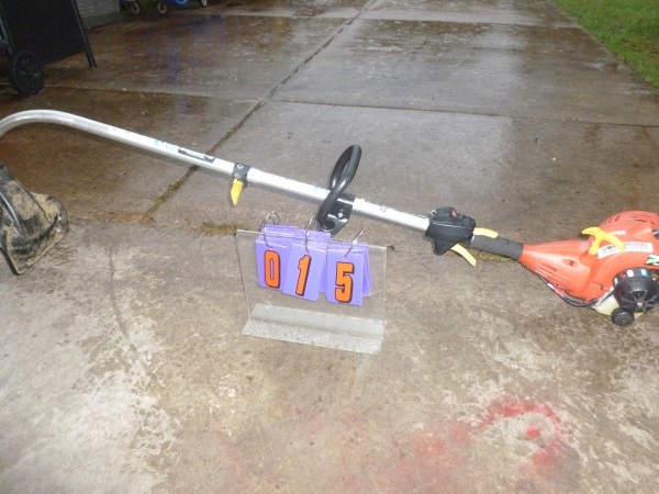 SnS Auctions # 229 Fall Consignment