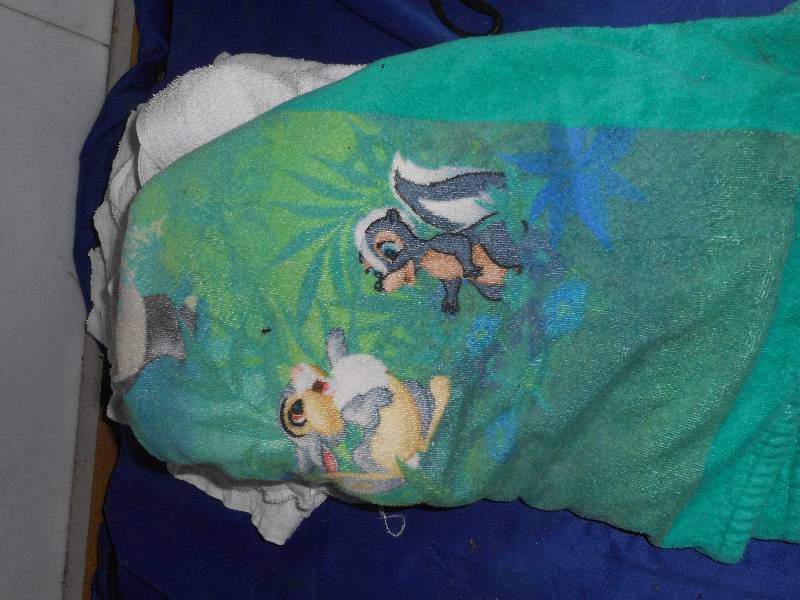 4 TOWELS