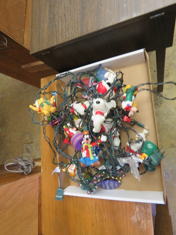Disney Christmas Lights