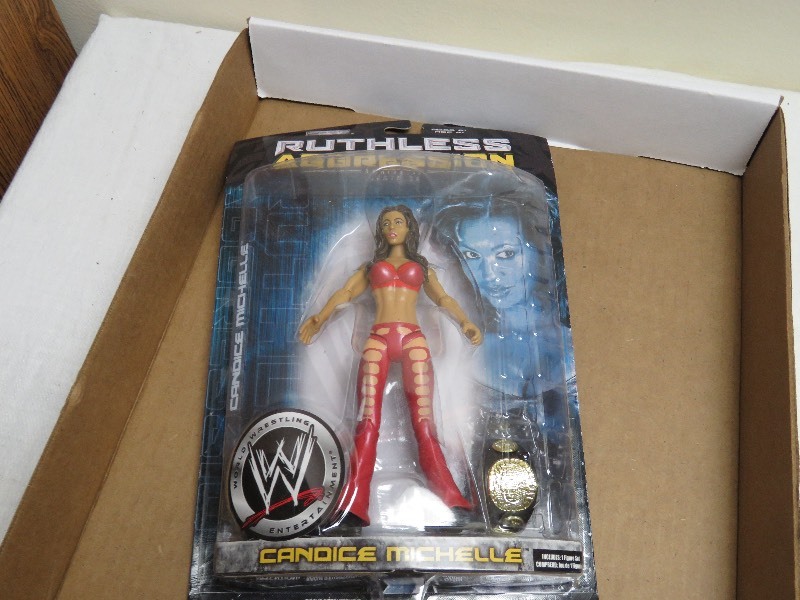 WWE figurine-Candice Michelle