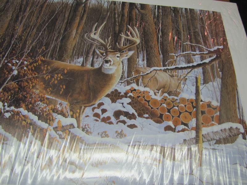 35 Prints of Just behind the cabin