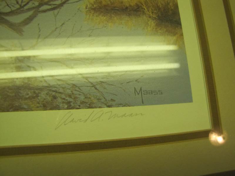 David A Maass Print very LARGE