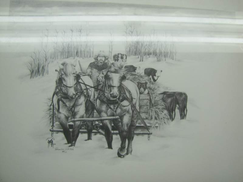 Horse Images  Prints
