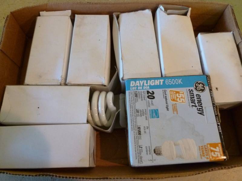 lot 157 image: Light Bulbs