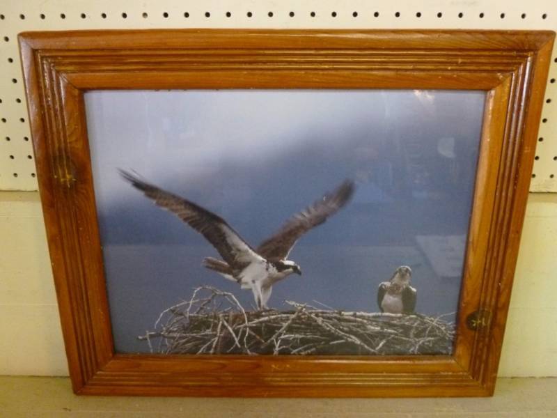 lot 350 image: Picture