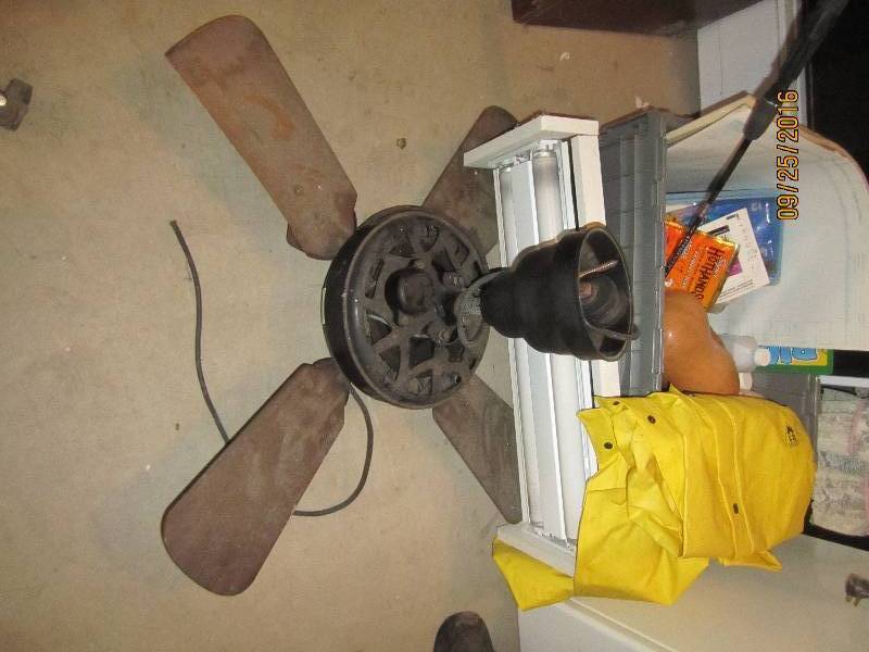 lot 63 image: Vintage fan, doll, shoplight, rainc...