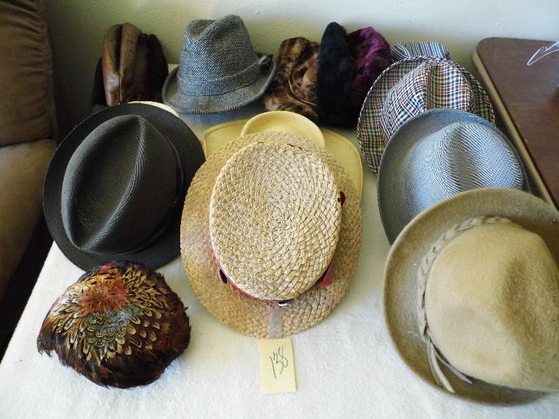 Hats - Political Pins