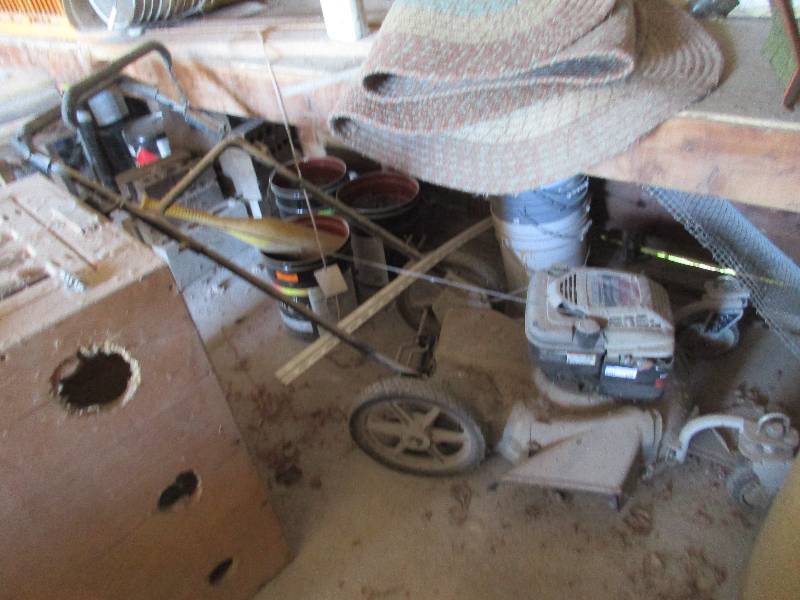 White Push Mower
