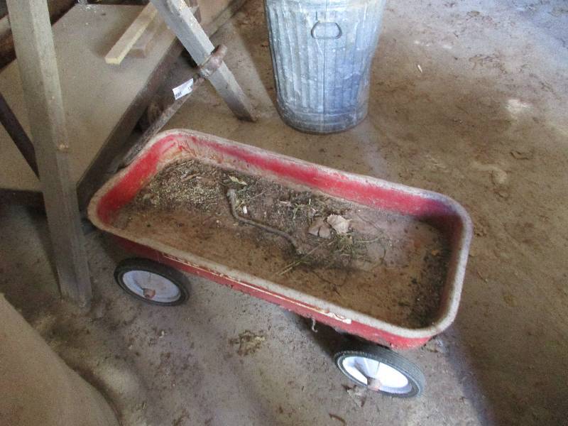 Radio Flyer wagon
