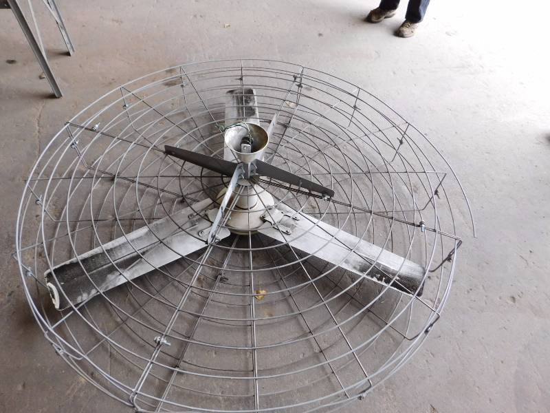 lot 38 image: 60 Ceiling Fan with Guard