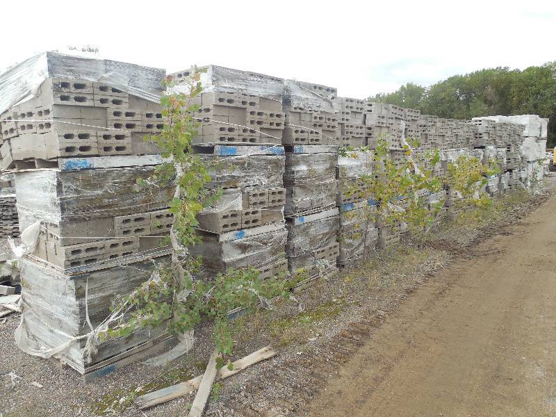 lot 148 image: (2) PALLET LOT OF 4 REG. 8 34 LONG CONCRETE BLOCKS