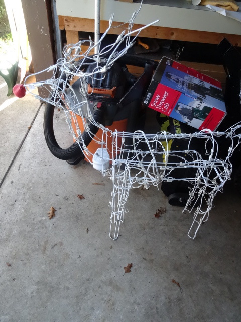 Reindeer