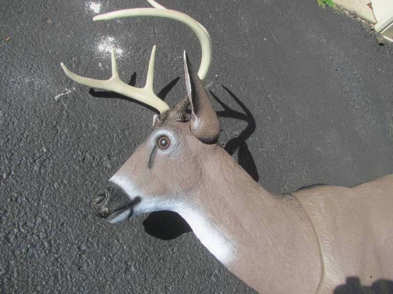lot 38 image: Hunting