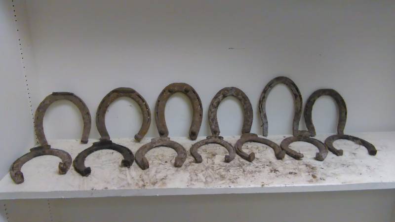 Horse shoes (13)