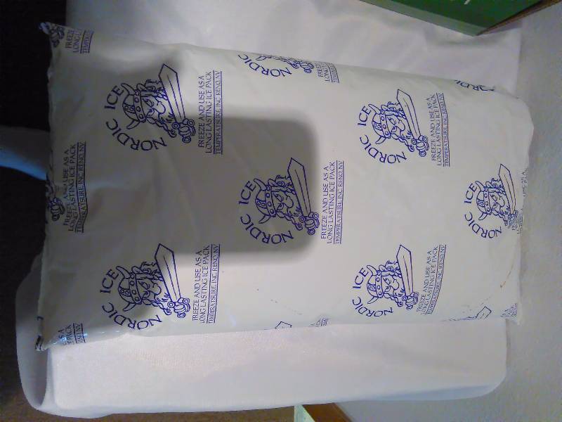 lot 130 image: Lot of 5 large Glacier Nordic Ice Gel refrigerant, reusable cooler cold pack
