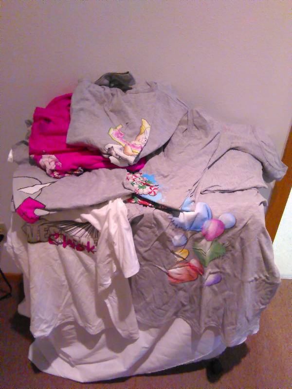 lot 137 image: XX and XXX New Womens Ts and Tanks, lot of 13