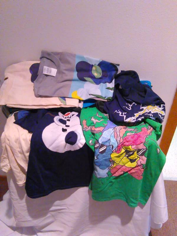 lot 144 image: (12)  Small New Men Ts and Tanks