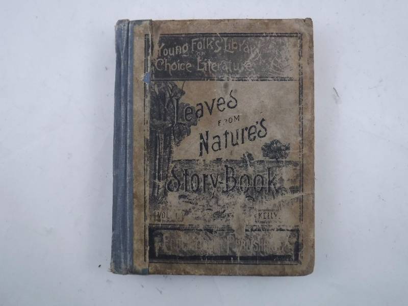 Vintage Book