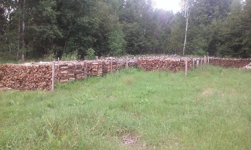 lot 42 image: Firewood Oak
