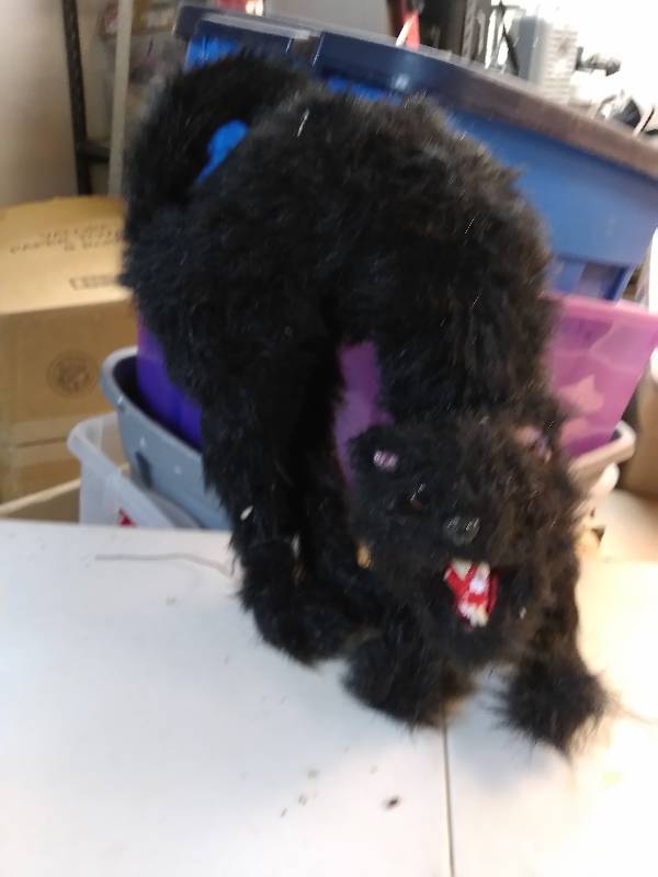 lot 6 image: Halloween