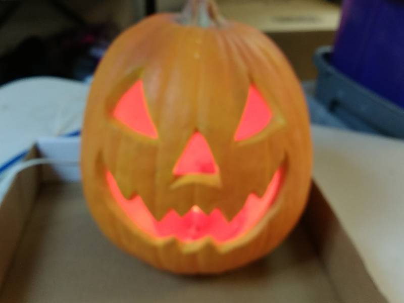 lot 17 image: Halloween