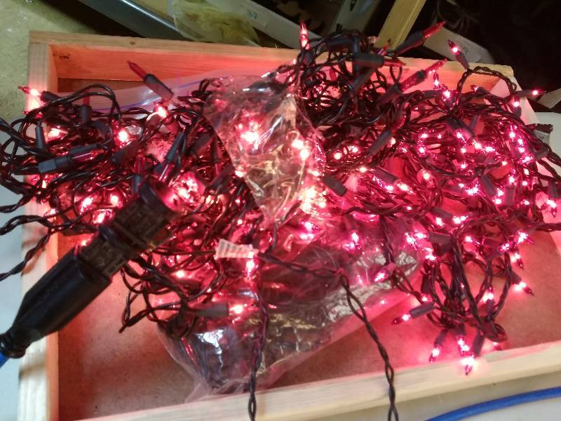 lot 36 image: Halloween