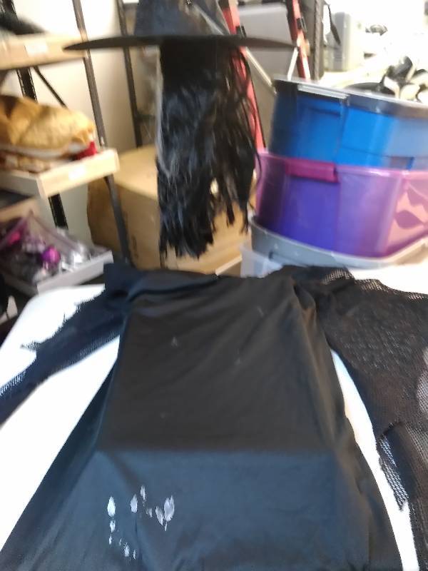 lot 47 image: Halloween