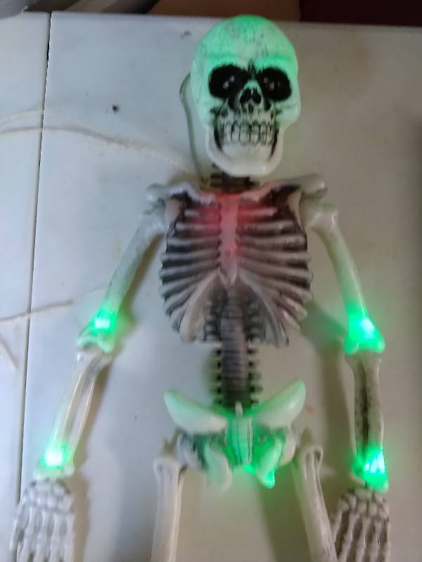 lot 55 image: Halloween