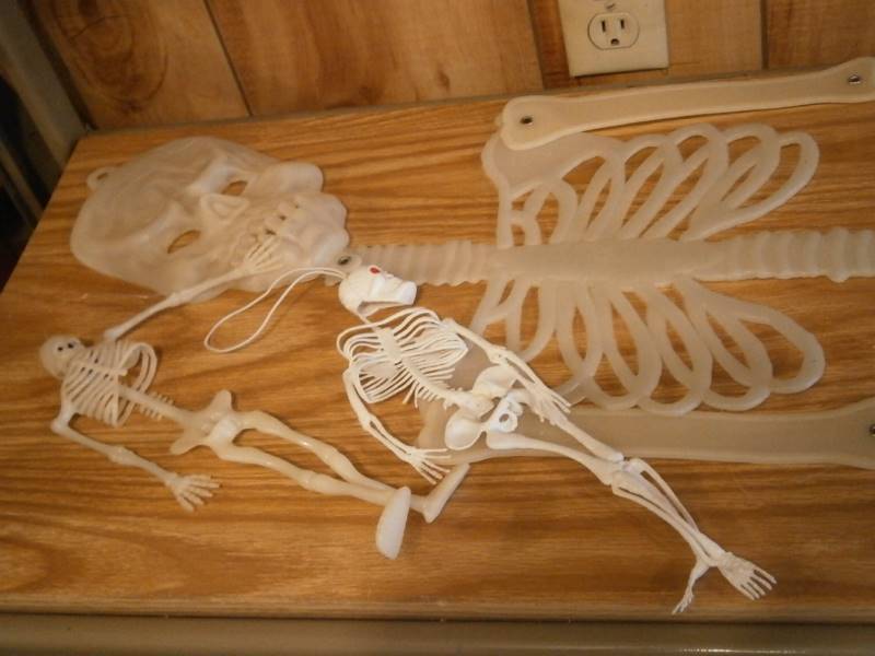 Skeletons & Spiders