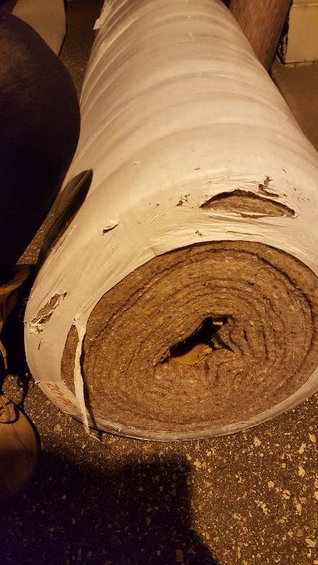 Carpet padding 6 feet wide
