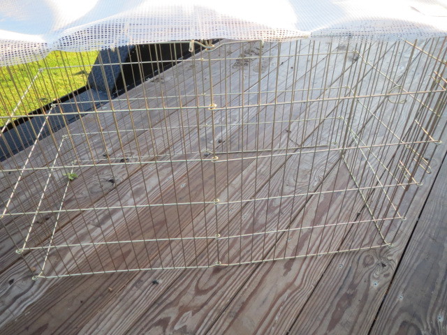 portable dog kennel