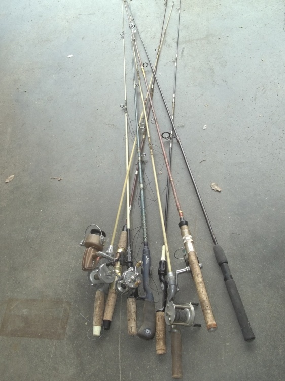 lot 290 image: 8 vintage fishing rods with 5 reels, 1 is Phluger Trump and 1 is Phluger Trump