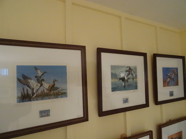 Lifetime duck stamp collection