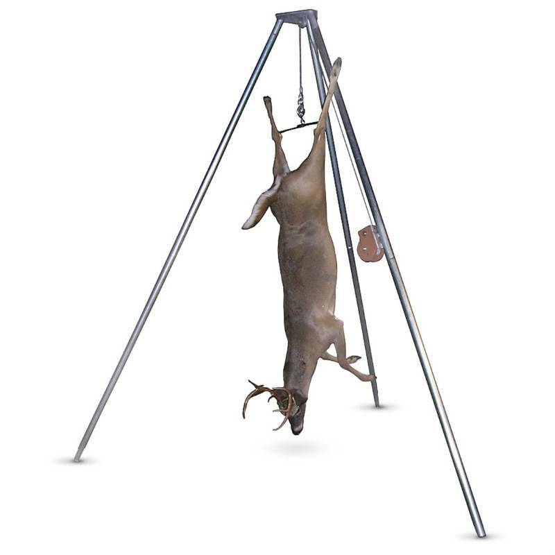 lot 51 image: Game Hanger